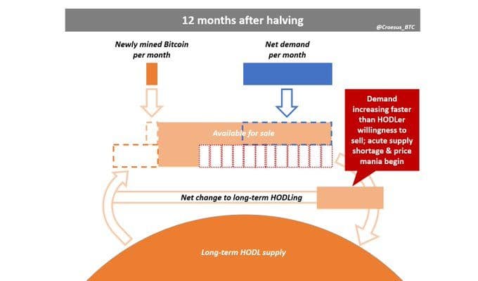 12 Months After Halving