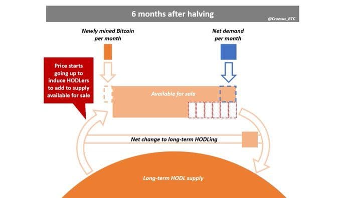 6 Months After Halving