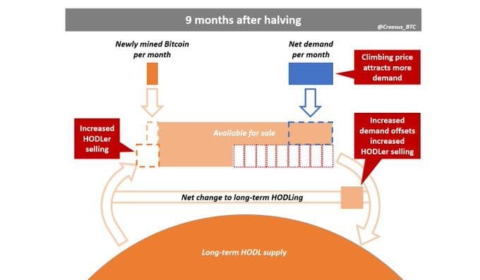 9 Months After Halving
